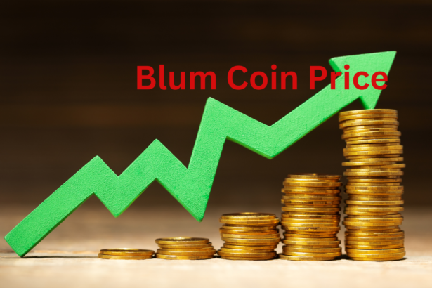 Blum Coin Price